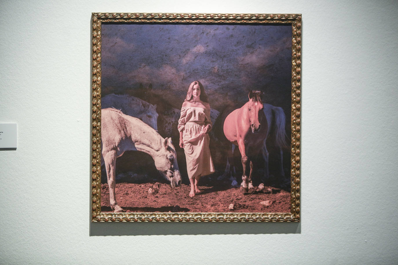 Fotos: &#039;VI-siones&#039;, un diálogo entre cuatro artistas vitorianos de generaciones y estilos diferentes