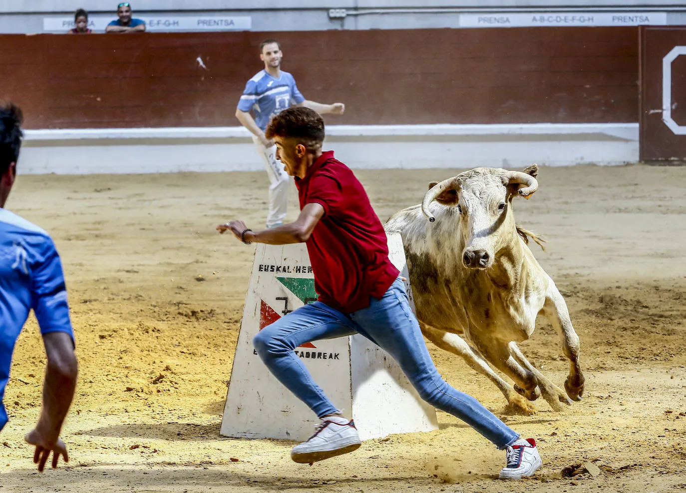 Fotos: A vueltas con las vaquillas