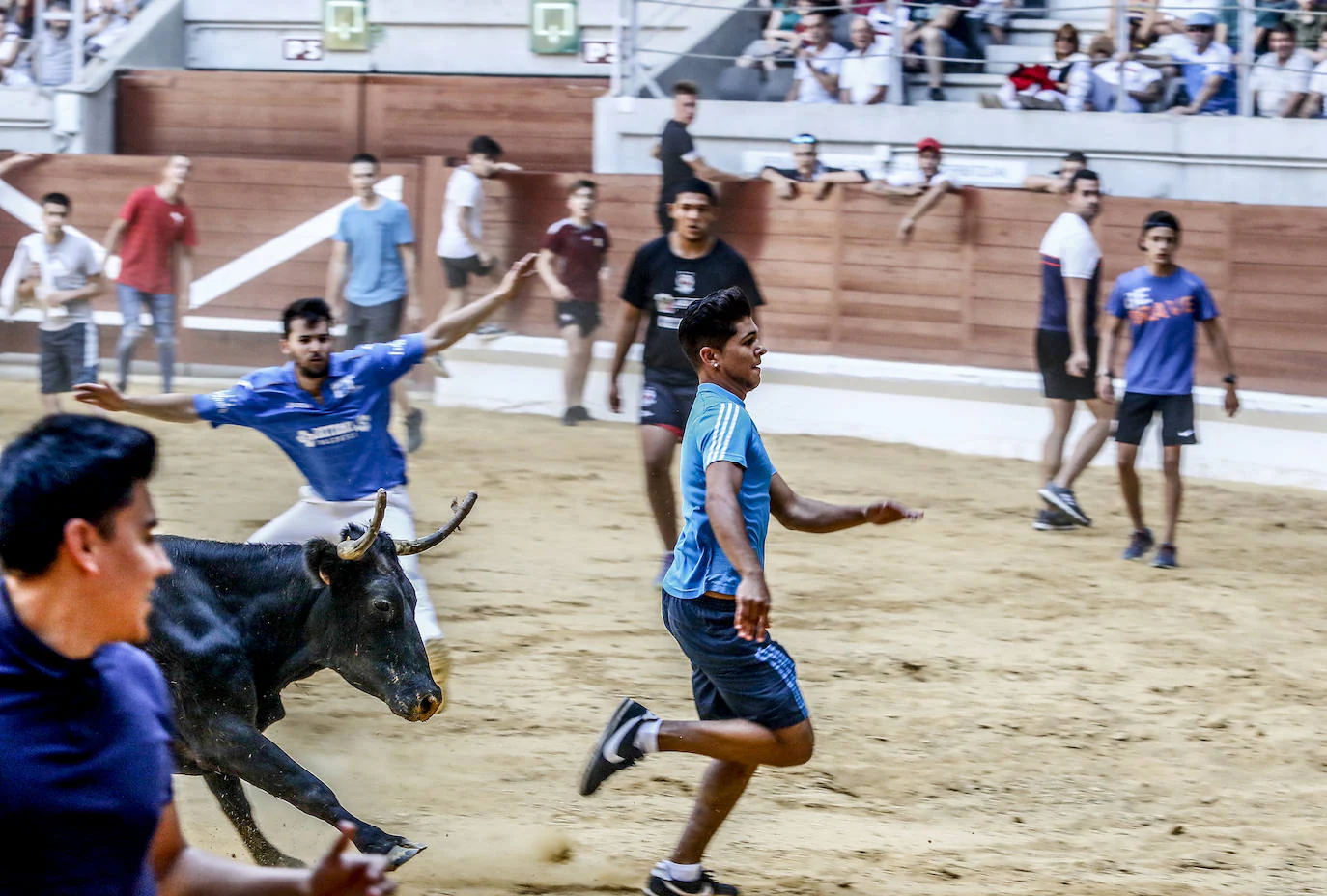 Fotos: A vueltas con las vaquillas