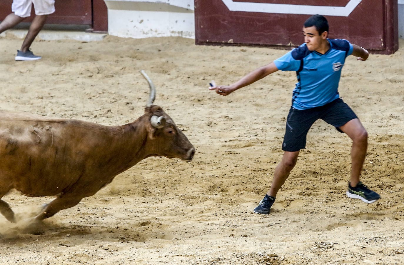 Fotos: A vueltas con las vaquillas