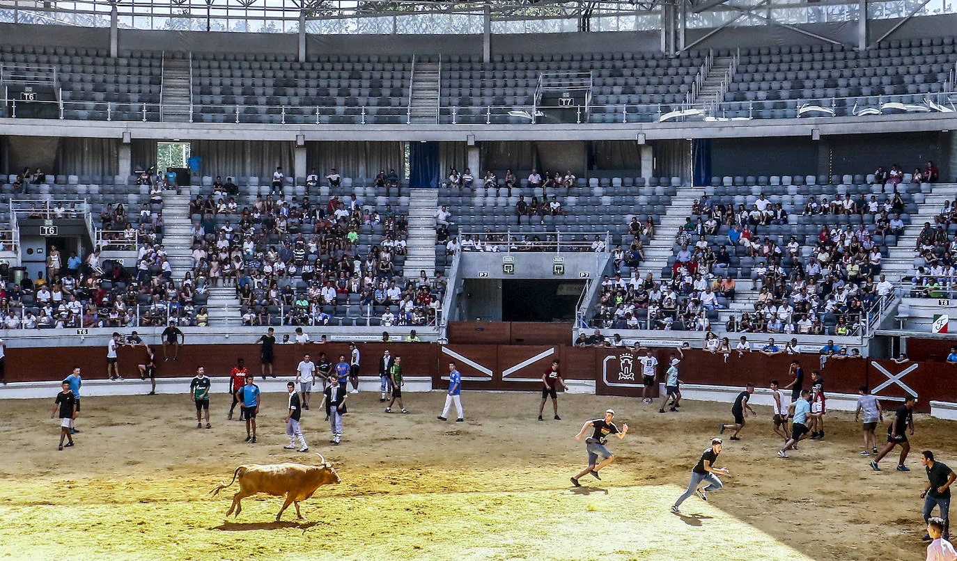 Fotos: A vueltas con las vaquillas