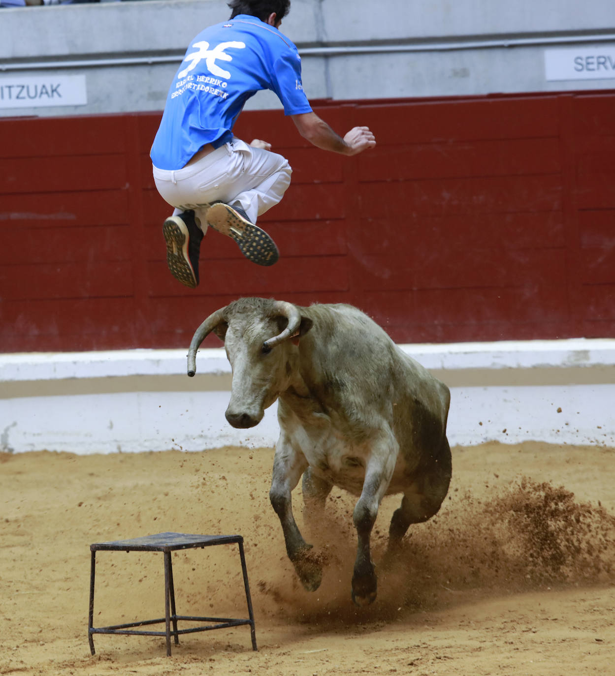 Fotos: Las imágenes de las vaquillas en La Blanca