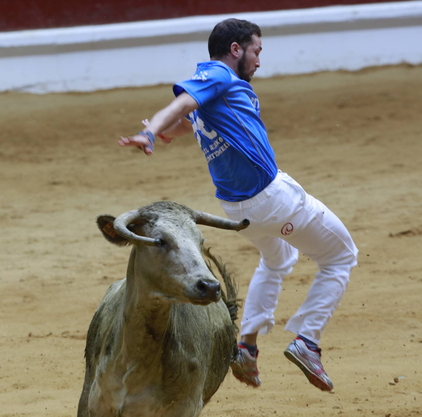 Fotos: Las imágenes de las vaquillas en La Blanca