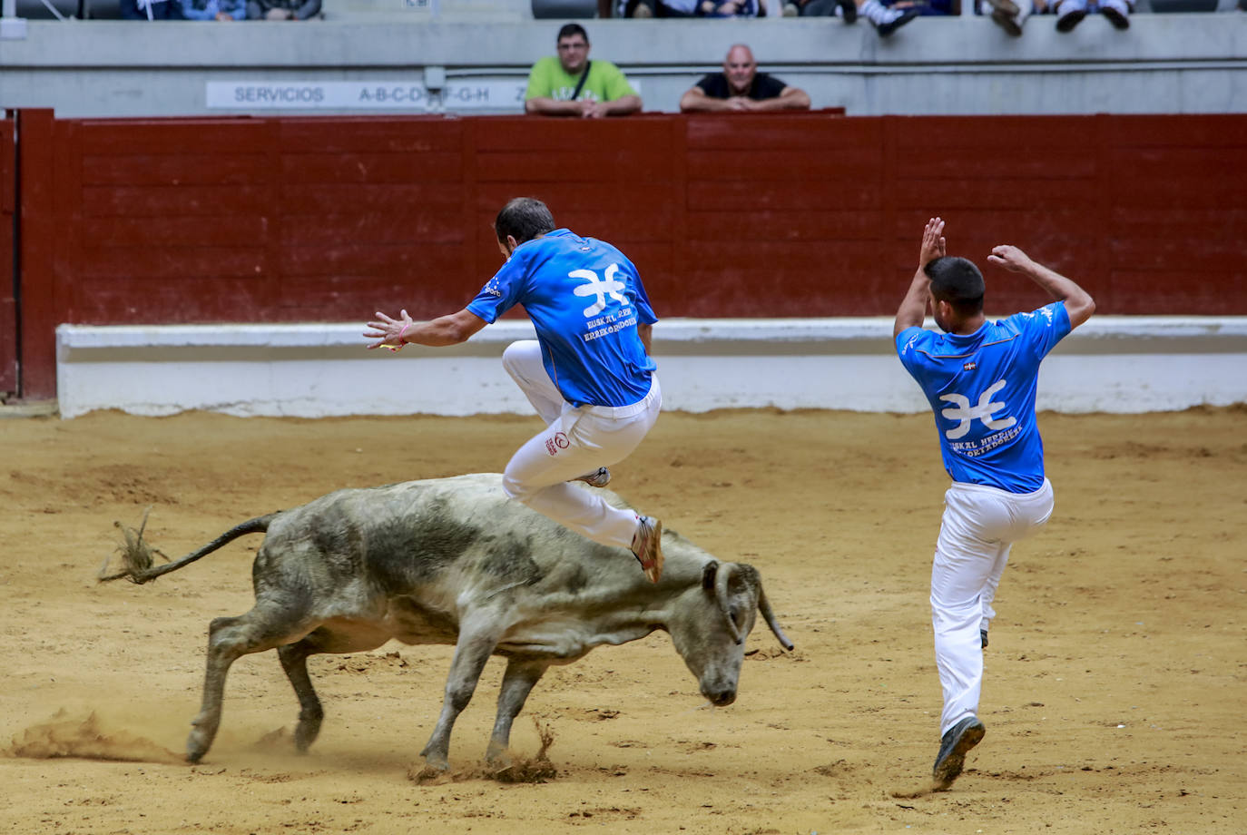 Fotos: Las imágenes de las vaquillas en La Blanca