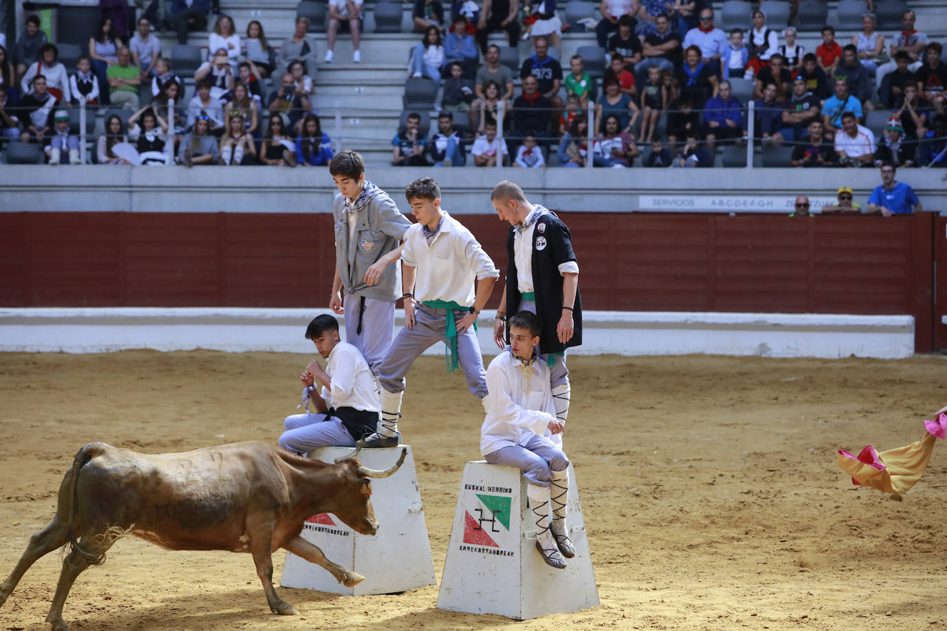 Fotos: Las imágenes de las vaquillas en La Blanca