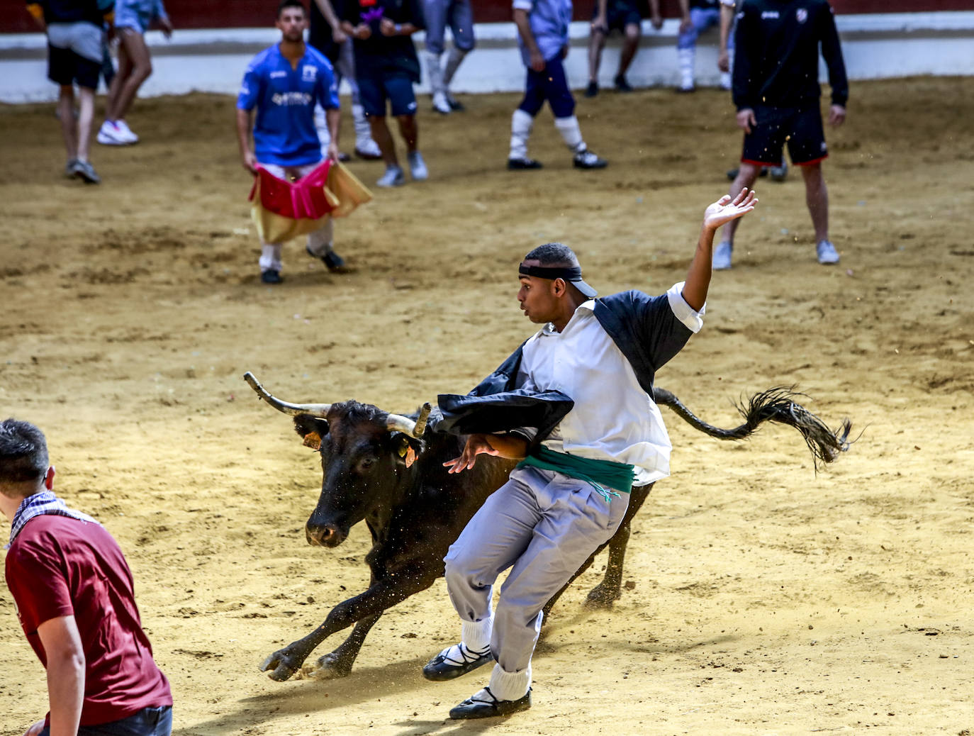 Fotos: Las imágenes de las vaquillas en La Blanca