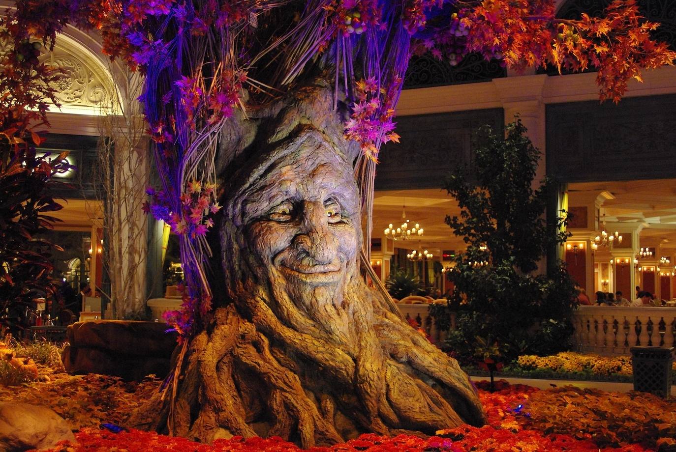 ¿Es Bellagio el mejor casino del mundo? | Resulta complicado decidir cuál es el mejor casino de Las Vegas y, por tanto, del mundo. Pero casi todos coinciden en que el Bellagio es el mejor. Un ejemplo: En él se celebra uno de los campeonatos del World Poker Tour más importantes, por lo que las grandes estrellas del juego de cartas más famoso del mundo se dan cita allí cada año. Solo entrar en la partida ya cuesta 20.000 dólares. Bellagio, es también una atracción en sí mismo. Alberga una combinación romántica de diferentes fragancias y colores de diferentes flores en sus increíbles jardines botánicos. Aparte de sus jardines interiores, también es el hogar de una Galería de Bellas Artes, donde se exhiben magníficas obras de arte creadas por los artistas más influyentes del mundo.