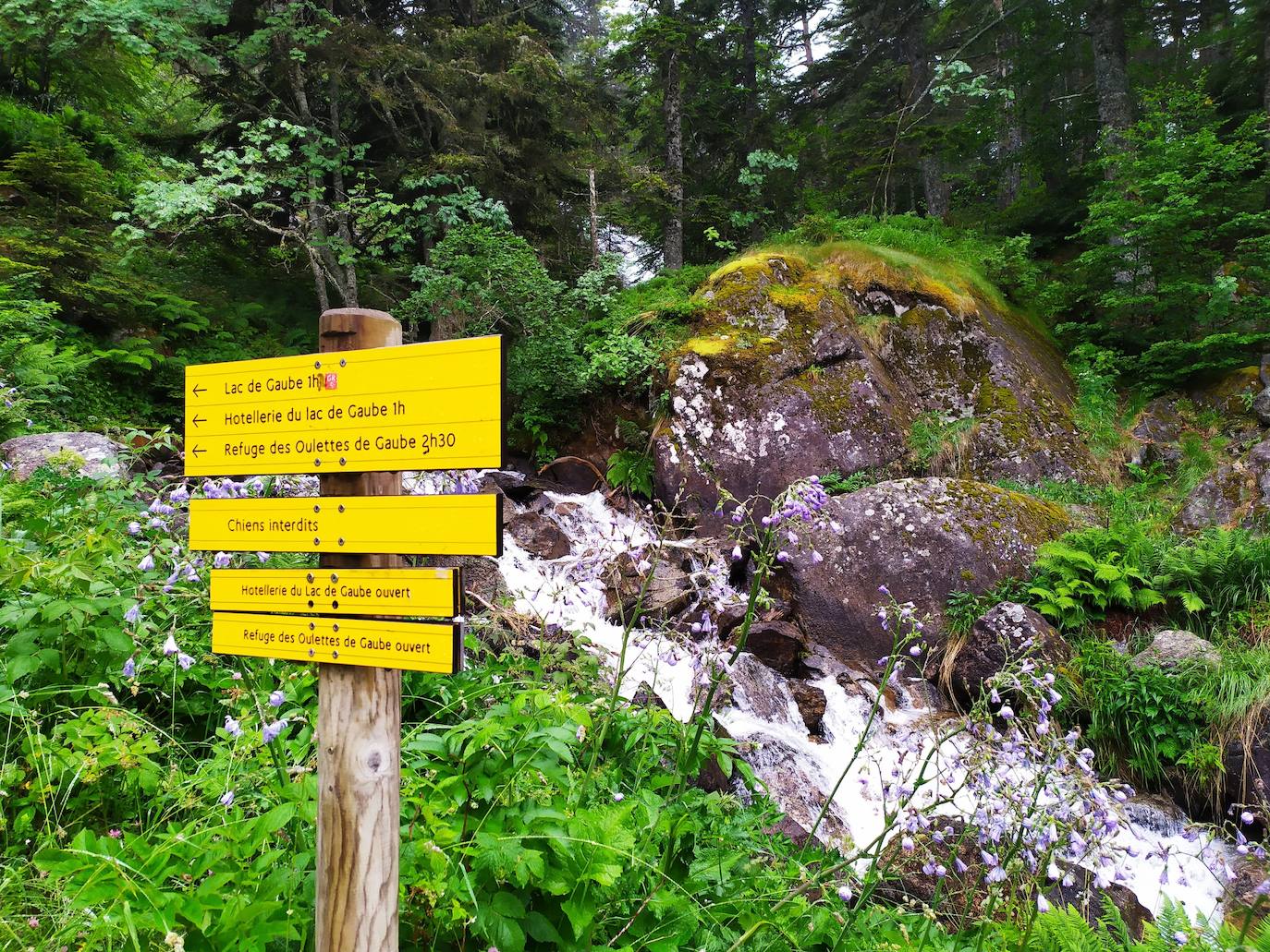 El camino hacia el lago y el refugio está perfectamente señalizado.