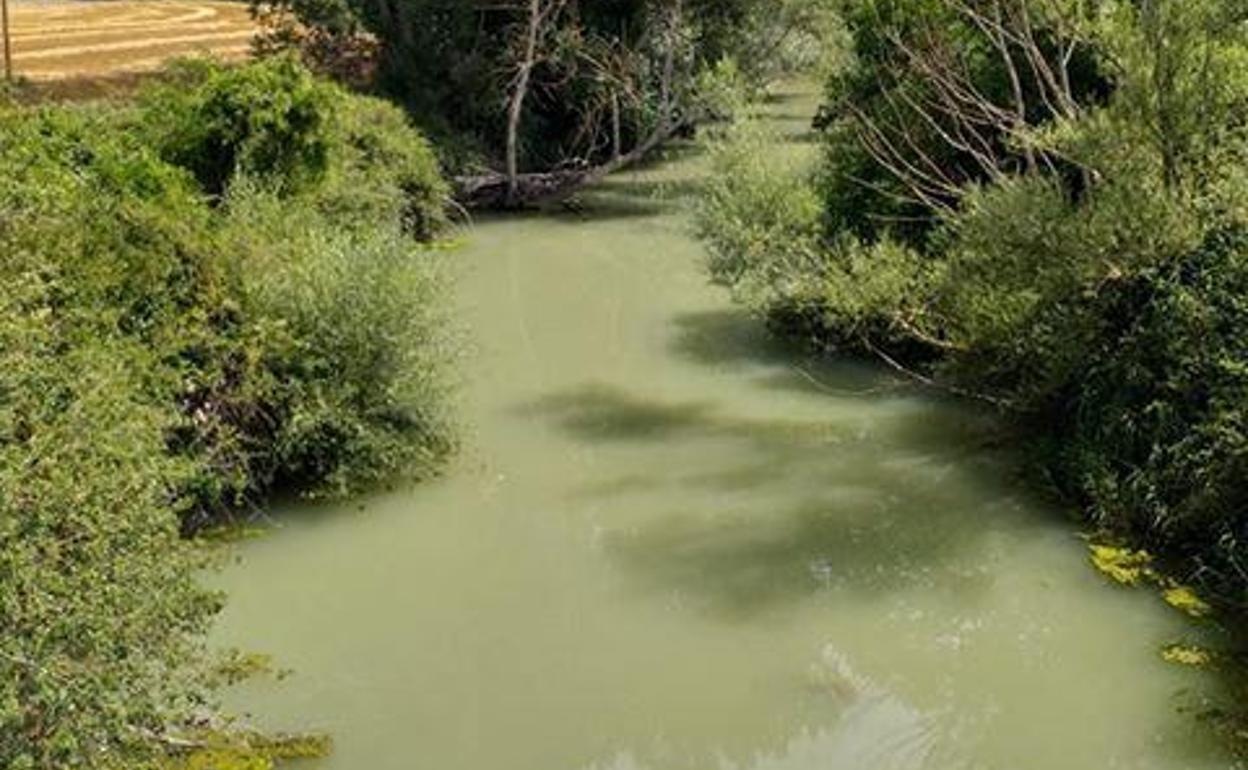 Aspecto del río Omecillo en la zona de Bergüenda. 