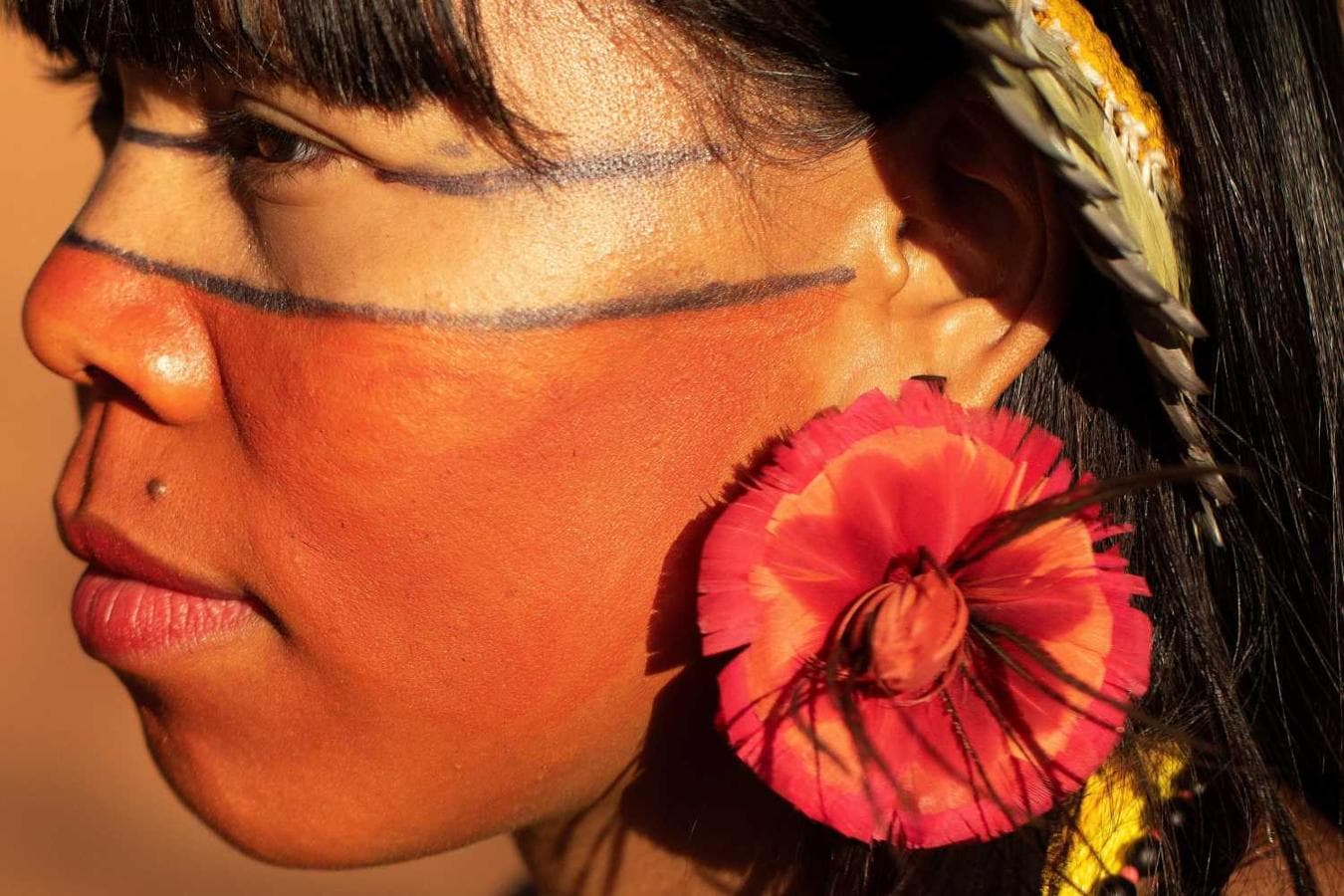 Participación en la Marcha de las Mujeres Indígena en Brasilia (Brasil)