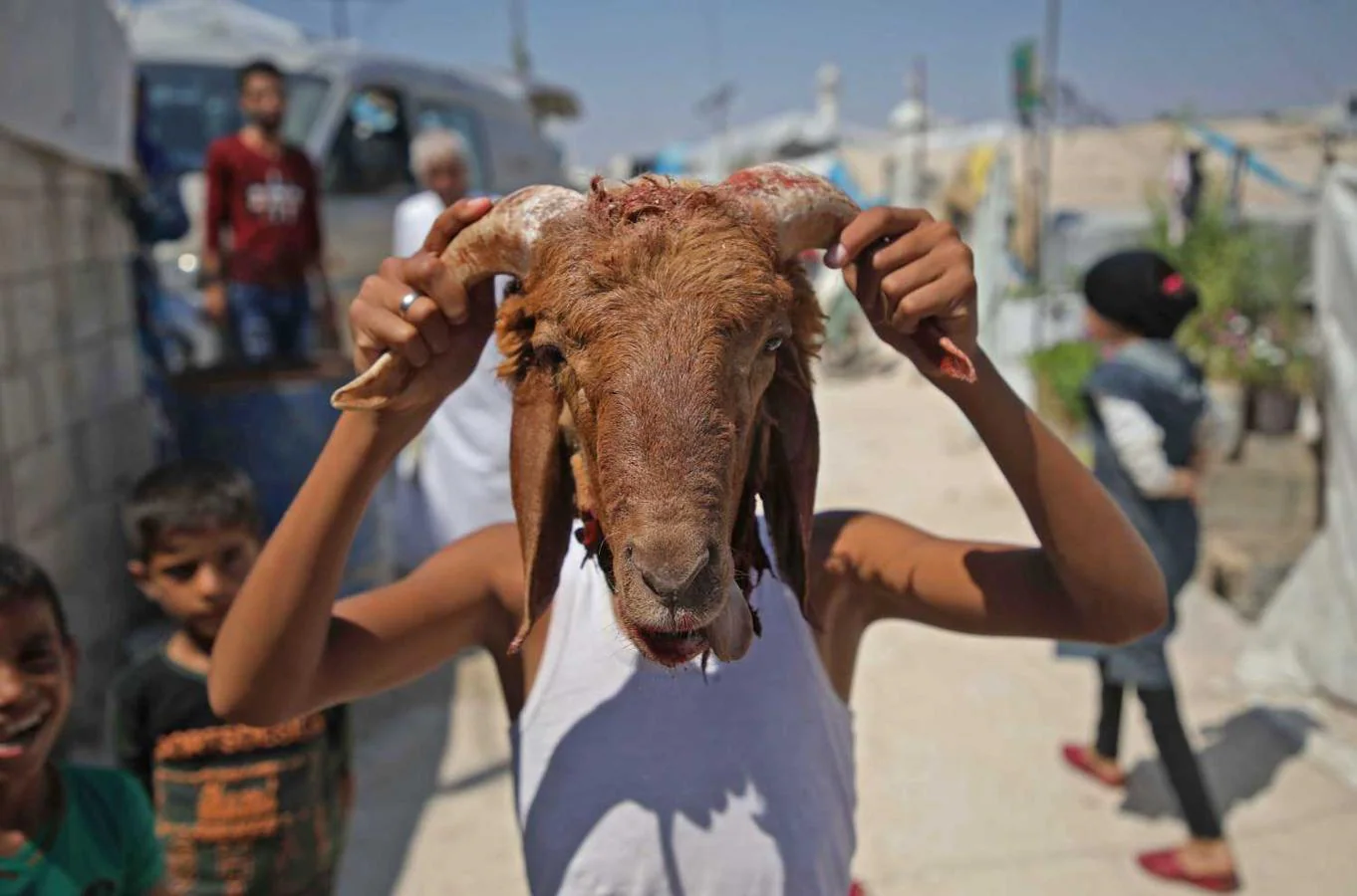 Un niño sirio juega con la cabeza de una oveja sacrificada en un campamento para personas desplazadas cerca del pueblo de Aqrabat