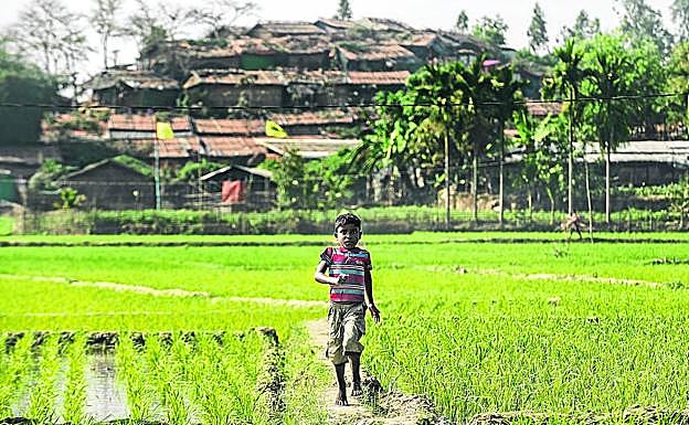 Un niño rohingya corre por un cultivo próximo al campamento de refugiados, al otro lado de la alambrada.