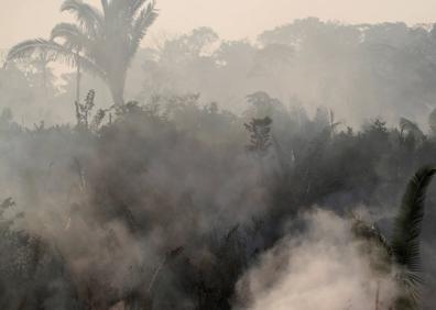 Imagen secundaria 1 - 40.000 focos de fuego permanecen activos en la selva del Amazonas.