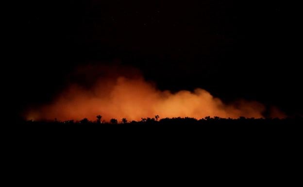 Imagen principal - 40.000 focos de fuego permanecen activos en la selva del Amazonas.