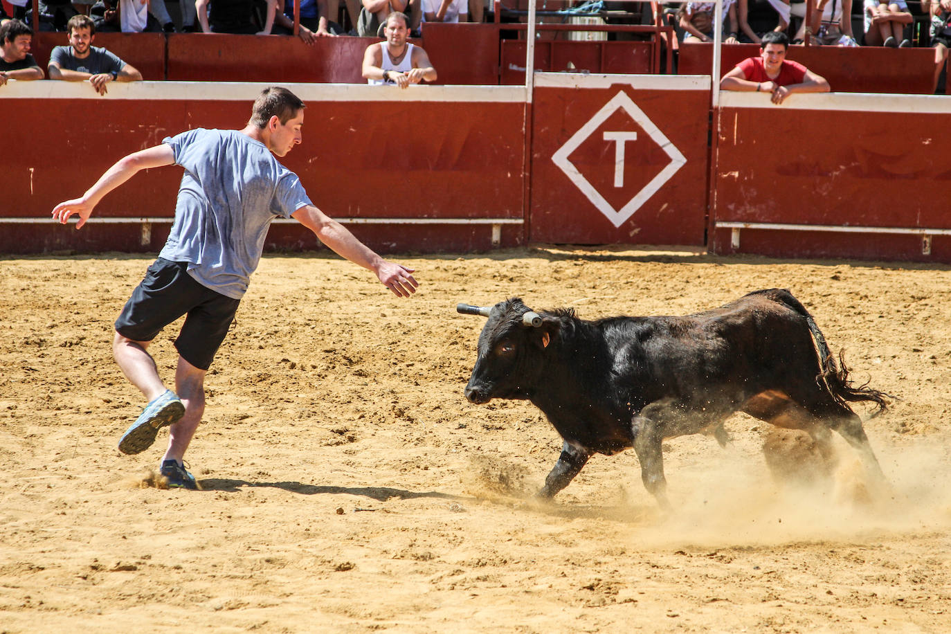 Fotos: Castellers y encierros en el &#039;Día de las morcillas&#039; en las fiestas de Llodio