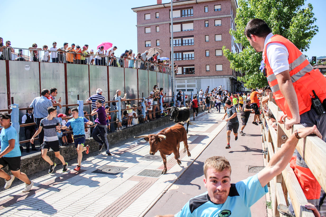 Fotos: Castellers y encierros en el &#039;Día de las morcillas&#039; en las fiestas de Llodio