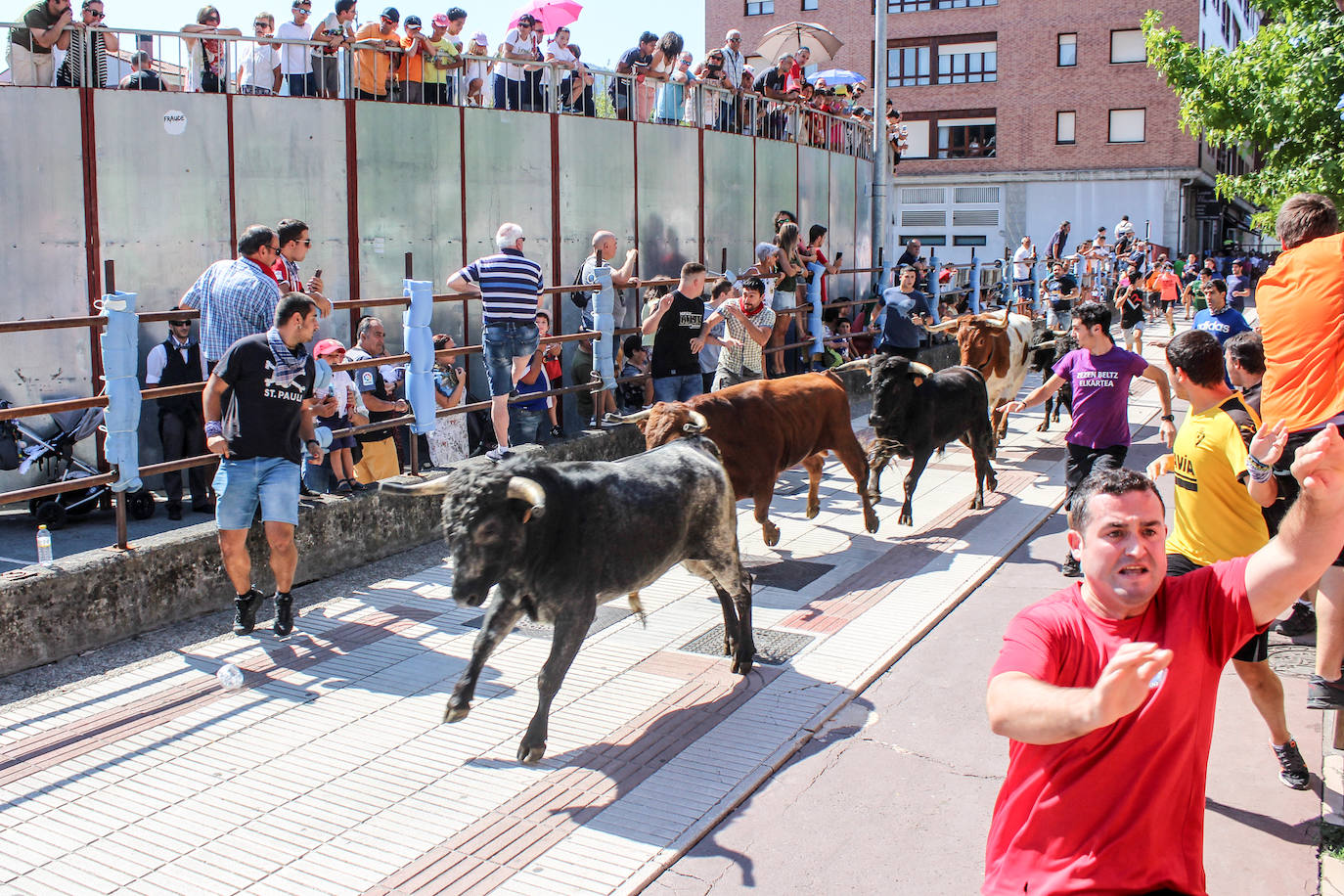 Fotos: Castellers y encierros en el &#039;Día de las morcillas&#039; en las fiestas de Llodio