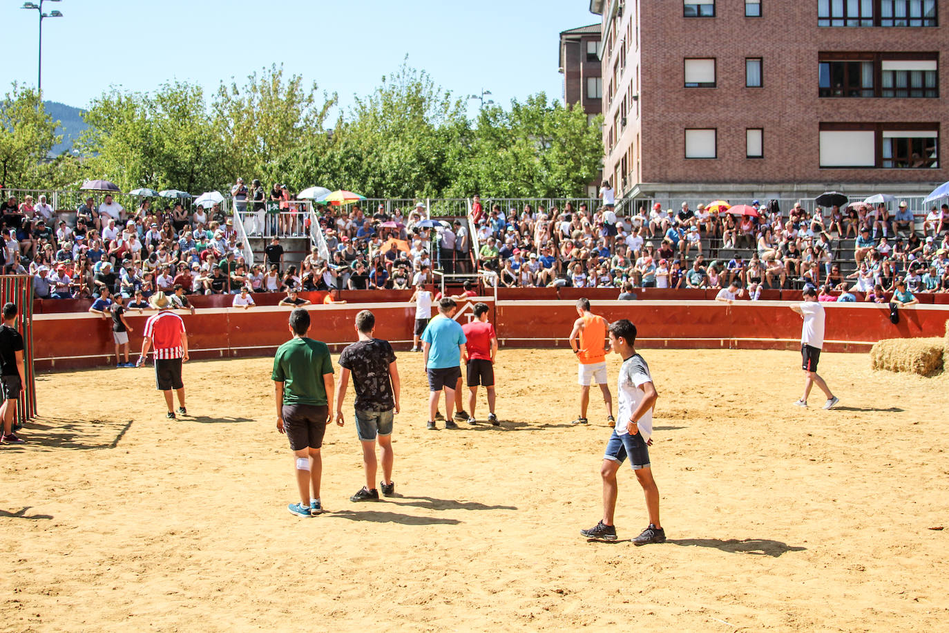 Fotos: Castellers y encierros en el &#039;Día de las morcillas&#039; en las fiestas de Llodio