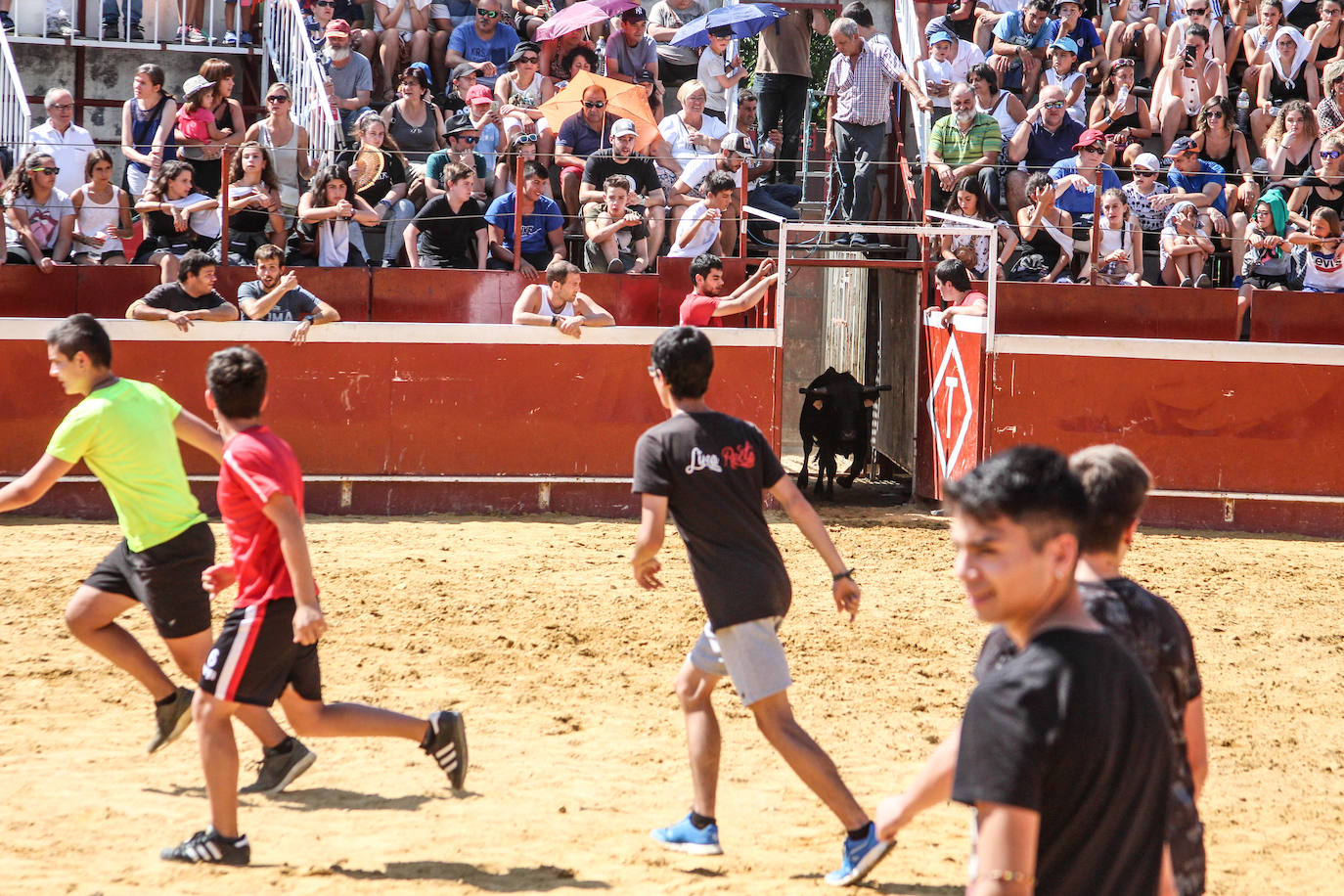 Fotos: Castellers y encierros en el &#039;Día de las morcillas&#039; en las fiestas de Llodio