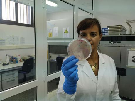 Imagen - Ana García, investigadora del centro de calidad de los alimentos de soria e investigadora del grupo de trabajo listeria cero. / Isabel G. Villarroel