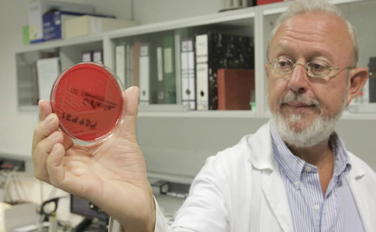 Fernando Vázquez, jefe de Microbiología del HUCA, muestra un cultivo de listeria. 