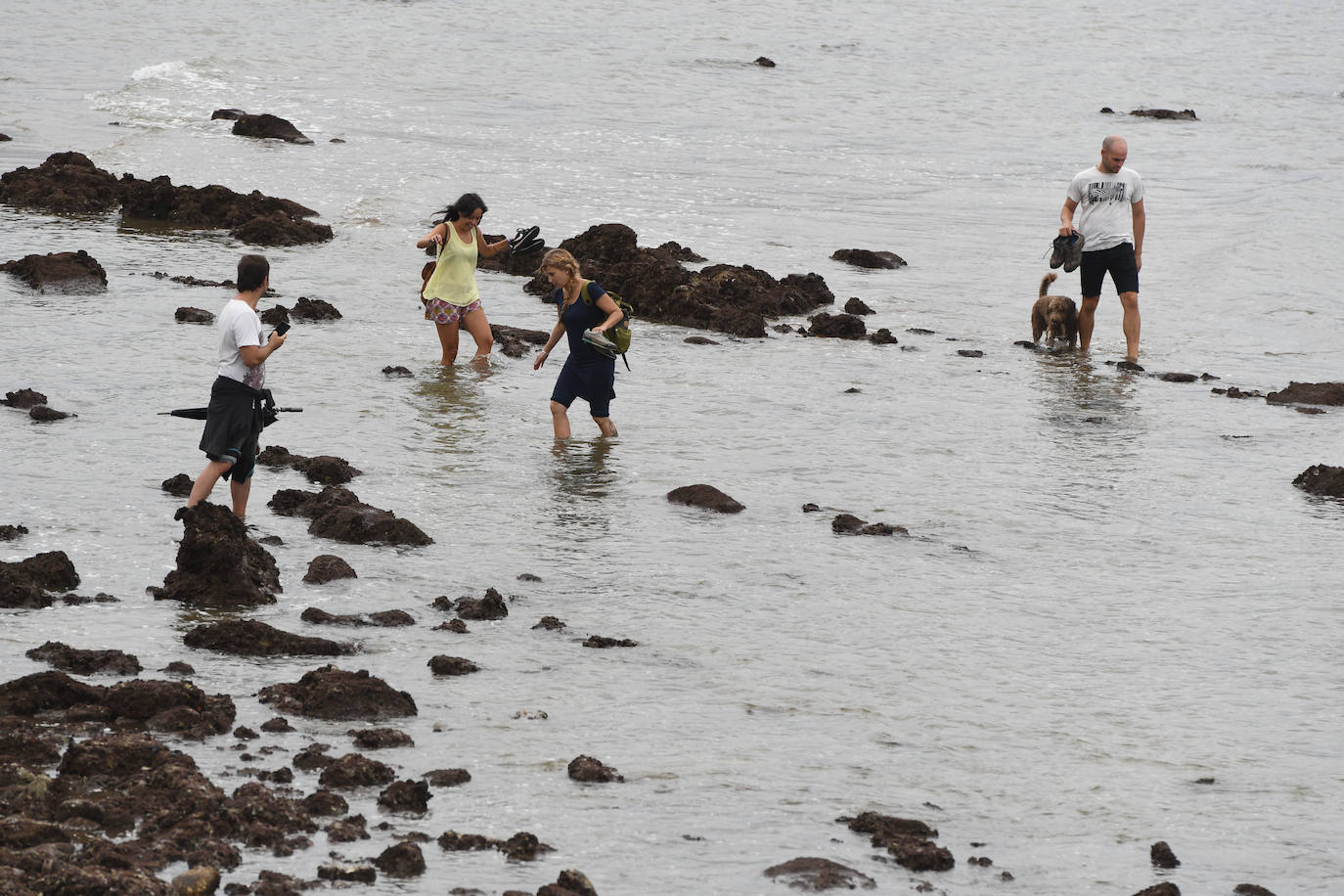 Fotos: Las mareas vivas dejan al desnudo las playas de Bizkaia