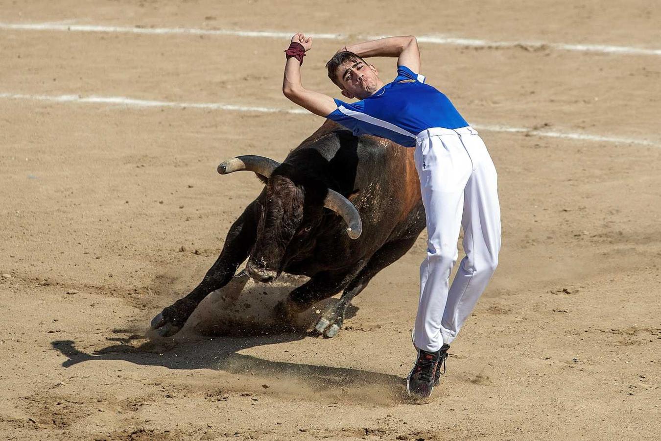Celebración de la capea en la plaza "La Tercera" durante las fiestas de San Sebastián de los Reyes