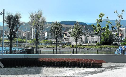 Los seis ejemplares que se están probando junto a la sede de la ingeniería Idom.