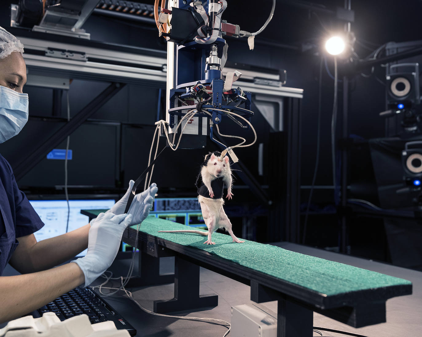 Matthieu Gafsou, de H+ (Torrene).También hay violencia en el transhumanismo, la ideología que aspira a conducir al ser humano a otro nivel gracias a la ciencia y la tecnología.