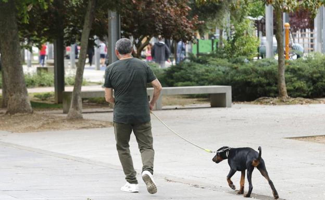 Zamora cobrará un impuesto de nueve euros por tener perro