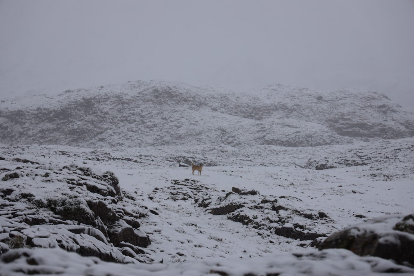 El teleférico de Fuente Dé.
