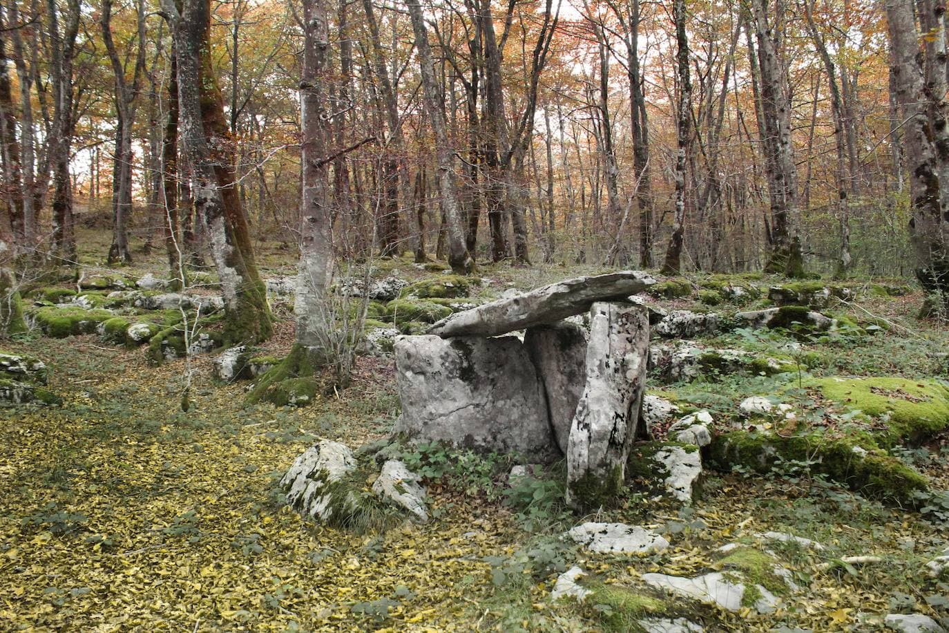 Restos megalíticos en el bosque.