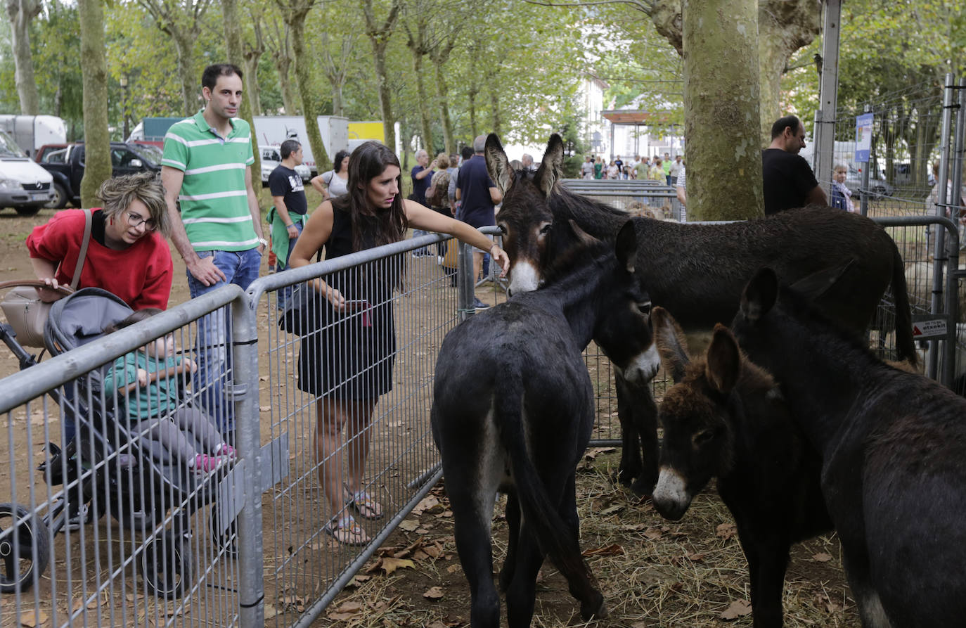 Fotos: La feria agrícola de Muskiz reúne 90 puestos