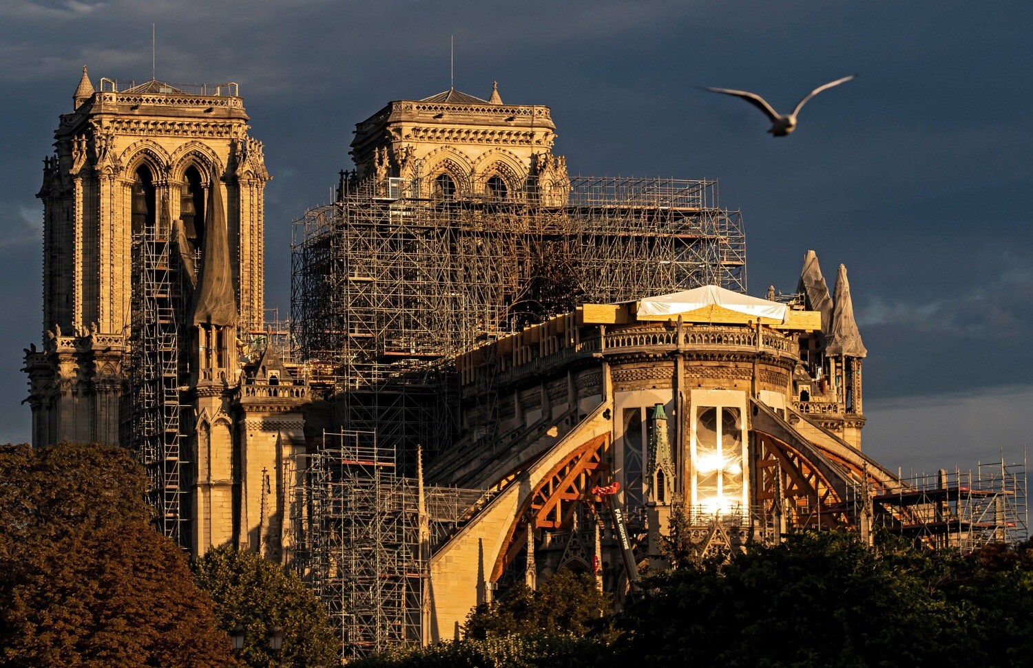 Vista de la fachada en obras de la catedral de Notre Dame en París, durante el amanecer, en Francia. 