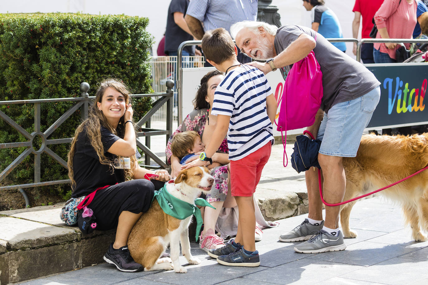 La protectora ApaSOS organiza una pasarela con 18 canes que buscan casas de acogida para salir de las jaulas del centro de Armentia