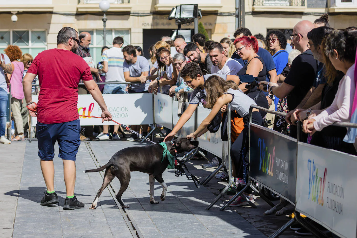 La protectora ApaSOS organiza una pasarela con 18 canes que buscan casas de acogida para salir de las jaulas del centro de Armentia