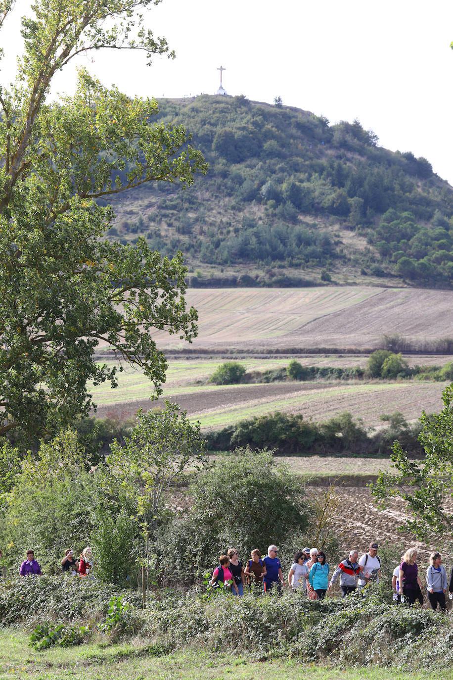 La popular cita ha reunido este año a cerca de dos mil participantes en un recorrido cargado de buen ambiente por el parque de Olárizu. Todo lo recaudado a través de las inscripciones para esta prueba que nació en 2012, coincidiendo con el reinado de Vitoria como 'Green Capital', irá destinado a la agencia de colocación de parados que Cáritas tiene en el barrio de Zaramaga.