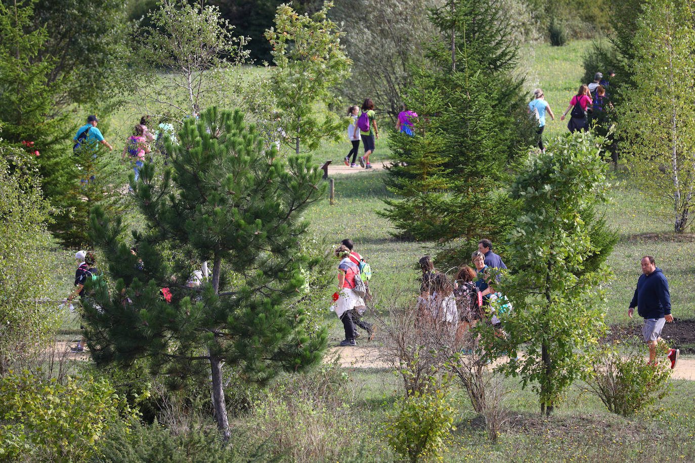 La popular cita ha reunido este año a cerca de dos mil participantes en un recorrido cargado de buen ambiente por el parque de Olárizu. Todo lo recaudado a través de las inscripciones para esta prueba que nació en 2012, coincidiendo con el reinado de Vitoria como 'Green Capital', irá destinado a la agencia de colocación de parados que Cáritas tiene en el barrio de Zaramaga.