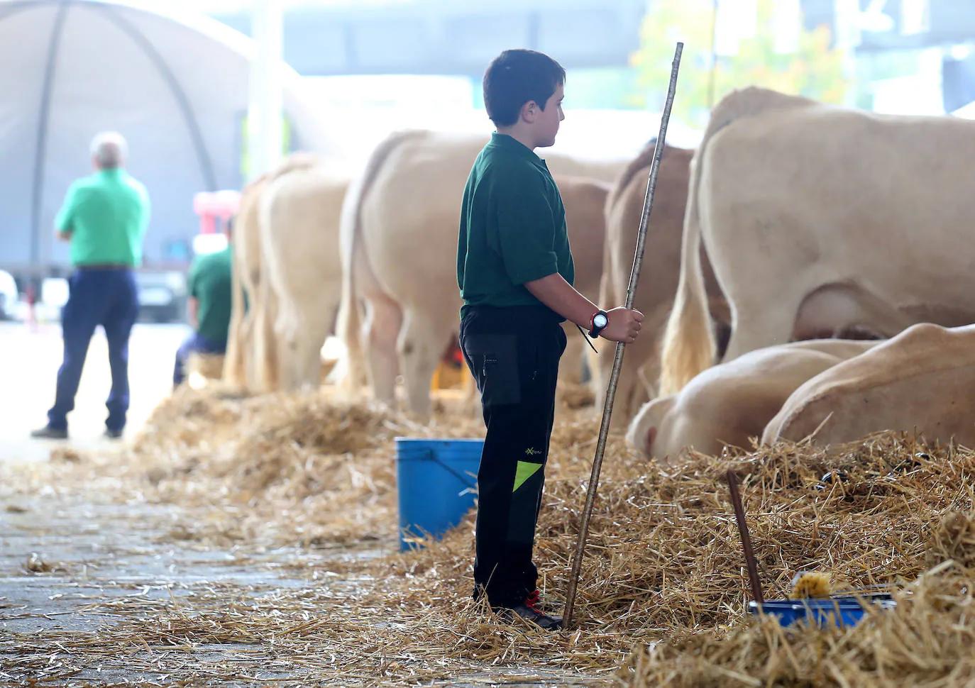 Fotos: Vacas de campeonato en Gernika