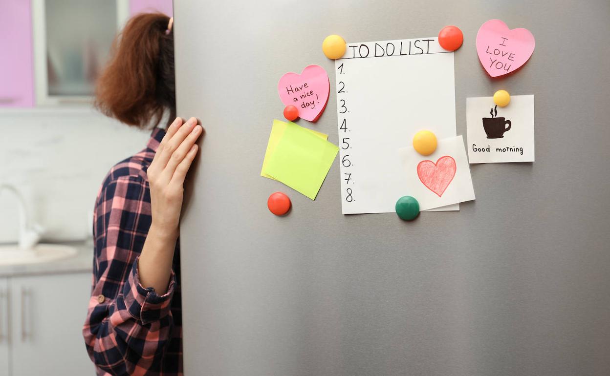 Hozkailua arbel bat bihurtu da.