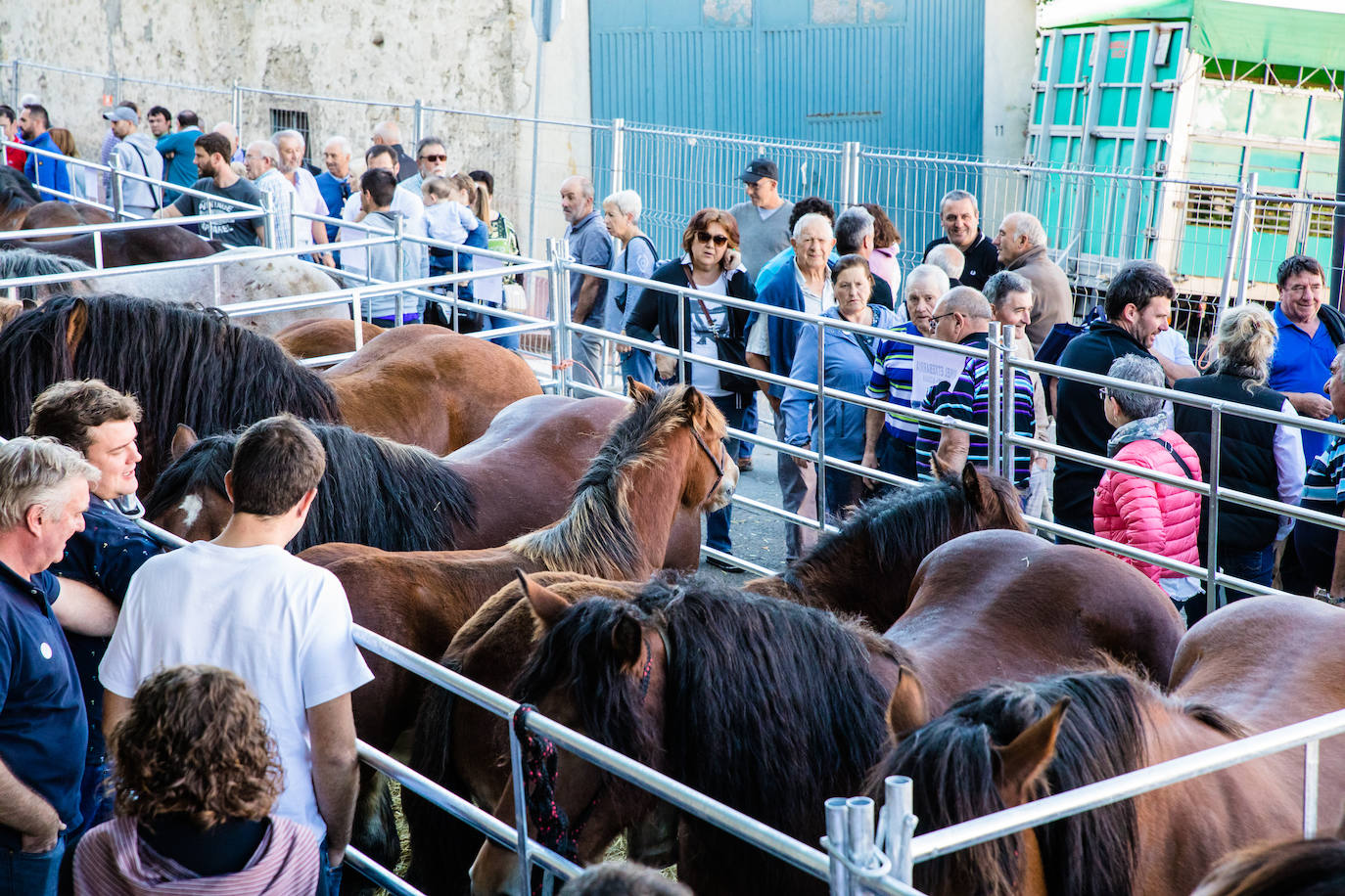 Fotos: Salvatierra vuelve a celebrar su tradicional feria