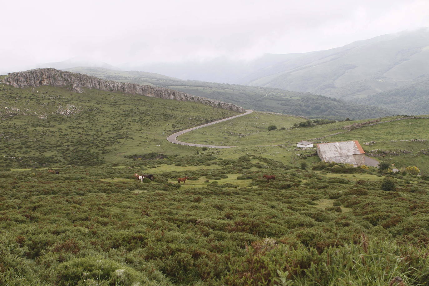 Fotos: El parque natural de Saja-Besaya, la joya de Cantabria