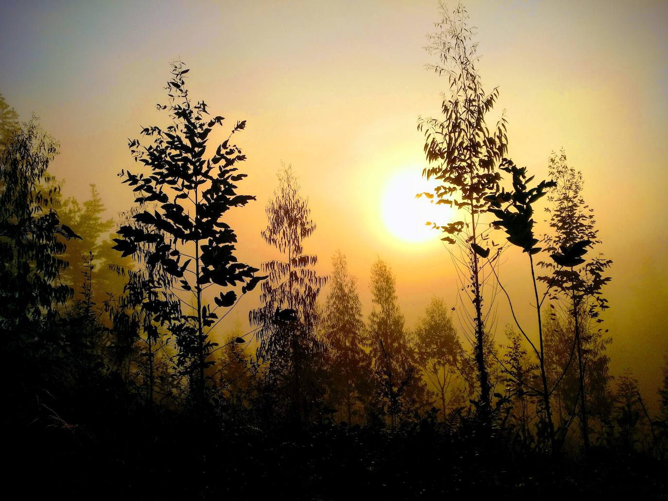 La subida a uno de los grandes clásicos de la Margen Izquierda ofrece unos paisajes de enorme belleza. Optamos por una ruta no tan frecuentada como la que parte desde El Regato o desde Cruces. Salimos desde Sodupe para llegar a la cima, a 887 metros de altitud, en unas dos horas. La bajada, siguiendo el arroyo por el Grazal, una delicia. 