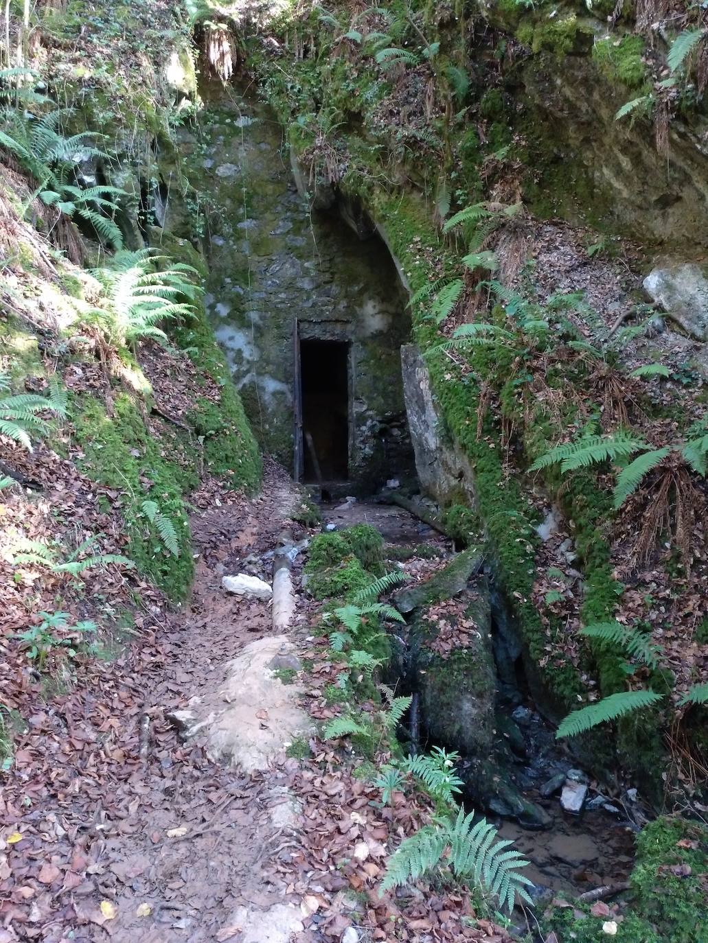 La subida a uno de los grandes clásicos de la Margen Izquierda ofrece unos paisajes de enorme belleza. Optamos por una ruta no tan frecuentada como la que parte desde El Regato o desde Cruces. Salimos desde Sodupe para llegar a la cima, a 887 metros de altitud, en unas dos horas. La bajada, siguiendo el arroyo por el Grazal, una delicia. 