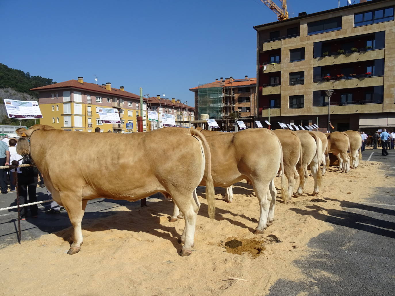 Blond/Akitania arrazako 105 abelburuk parte hartuko dute Markinan egingo den Euskal Herriko Txapelketan.