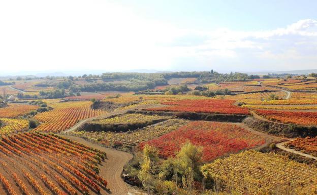 Paisaje de otoño en Samaniego. 