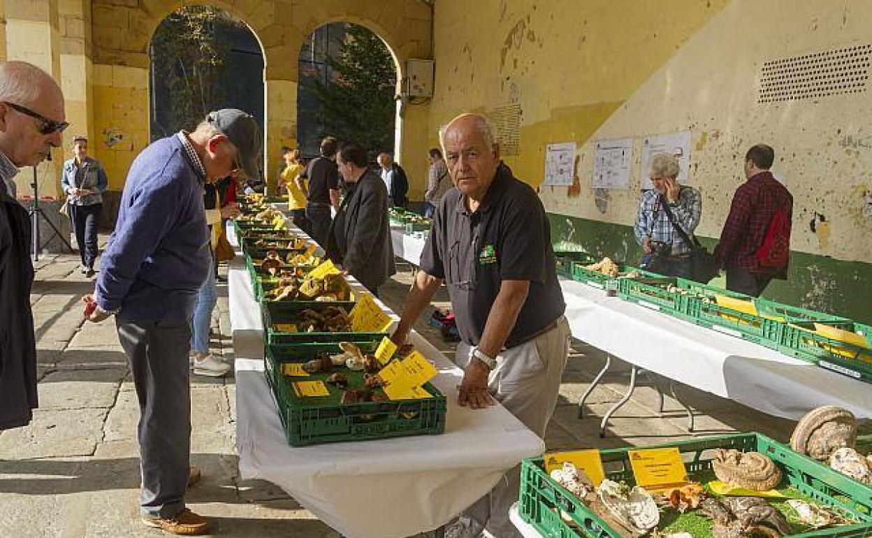 Ejemplares recolectados para las jornadas del año pasado. 