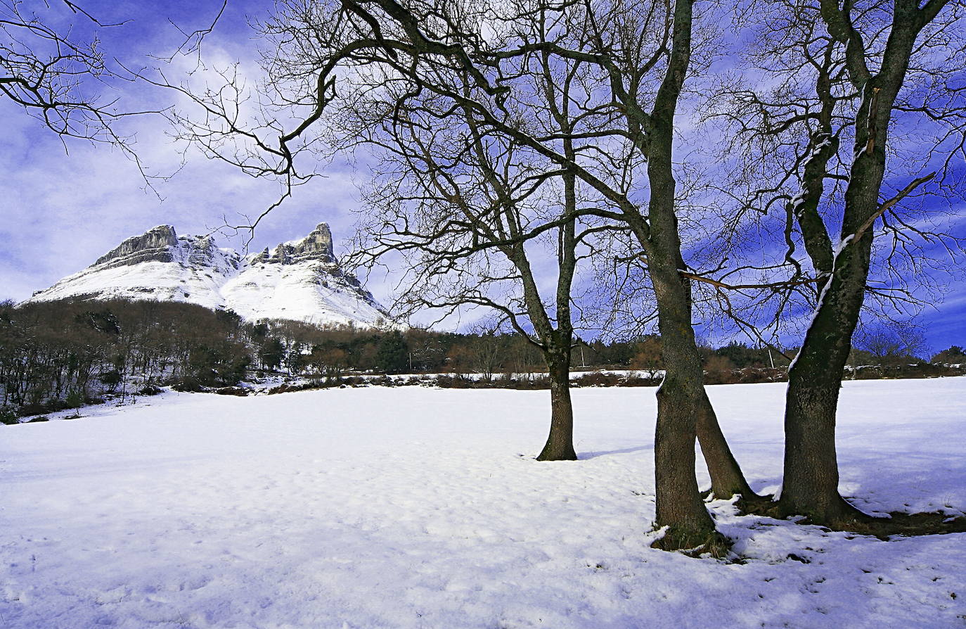 Roberto González Luis