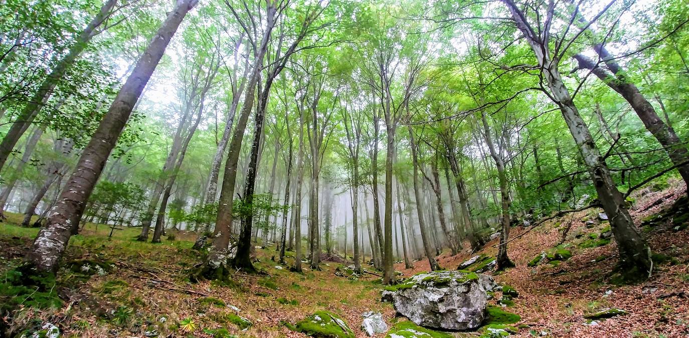 Fotos: El Tologorri, un monte de calendario