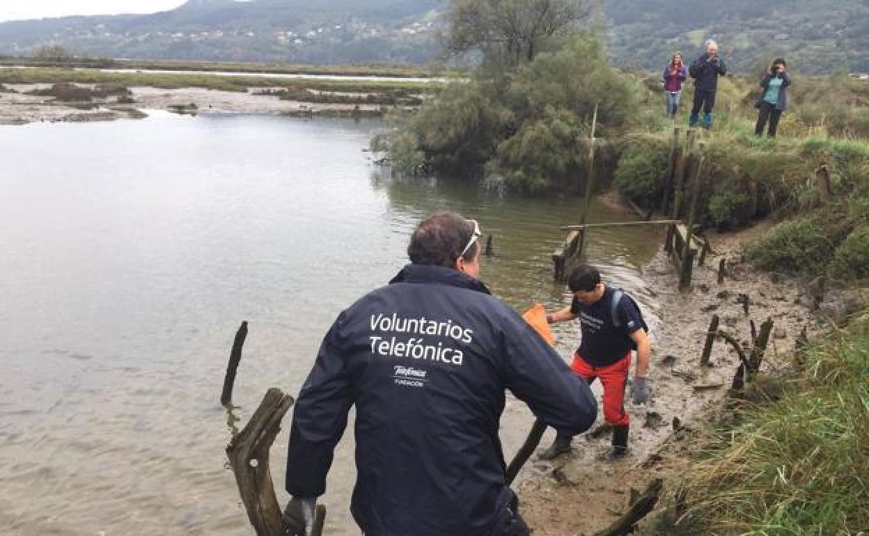 Participantes en la limpieza de las marismas de Urdaibai en la zona de Murueta. 